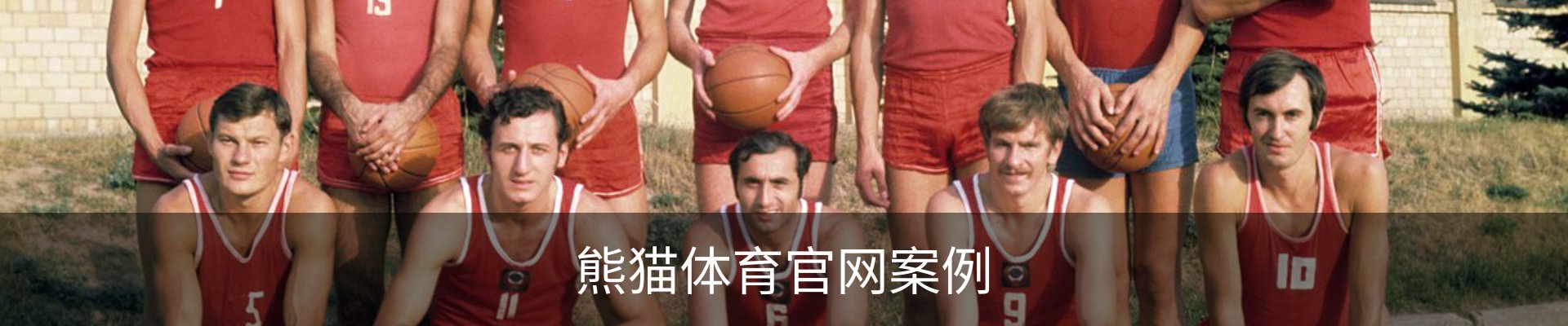 熊猫体育官网案例